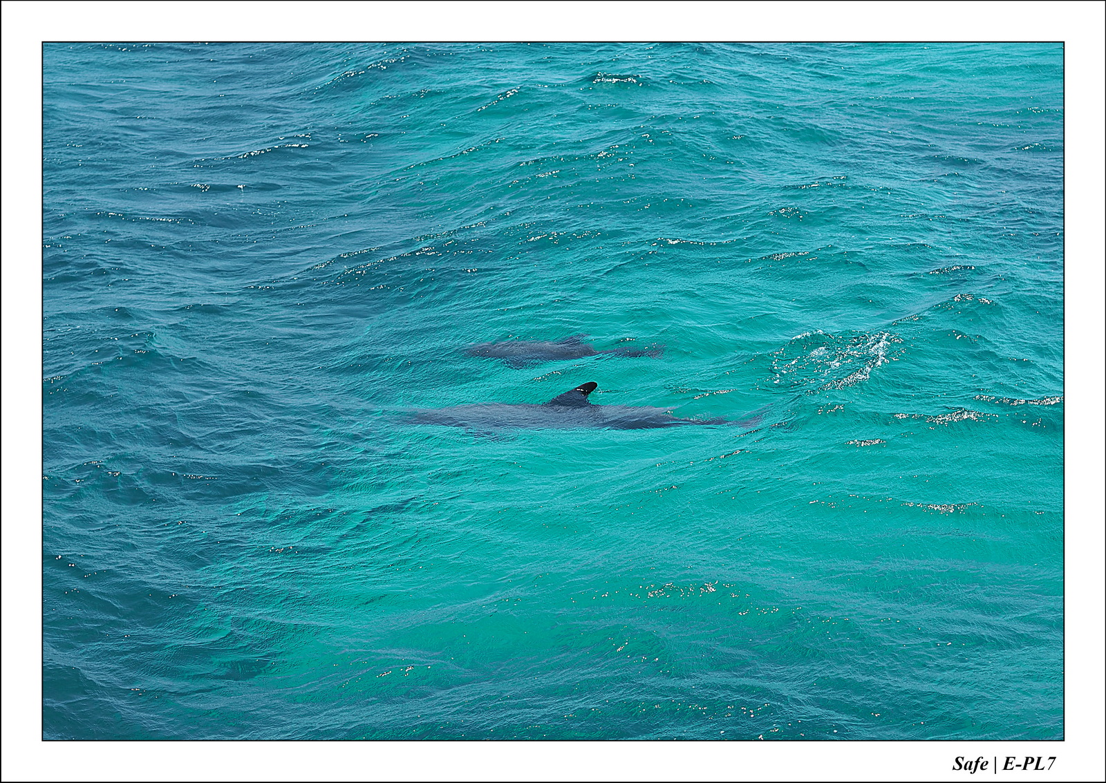 Hurghada - Juillet 2021 - 016